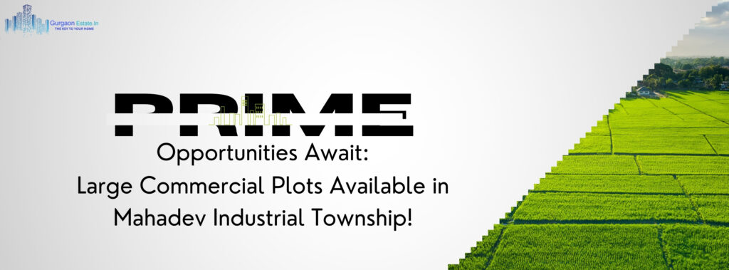 Mahadev-Industrial-Township-Brochure-Gurgaon-EstateIn-Only-For-Basic-Details-PG-